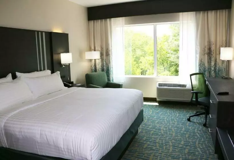 スタンダードルーム, Holiday Inn Express & Suites   Hendersonville Se   Flat Rock, An Ihg