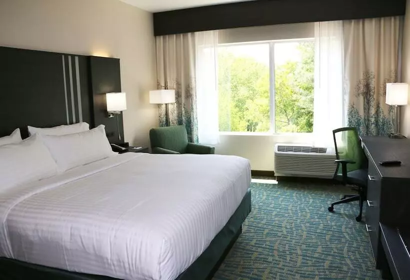 スタンダードルーム, Holiday Inn Express & Suites   Hendersonville Se   Flat Rock, An Ihg