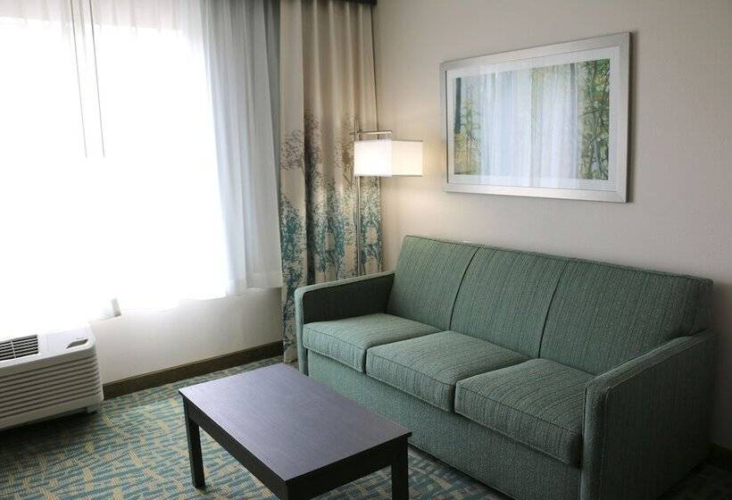 适合残疾人士使用的套间, Holiday Inn Express & Suites   Hendersonville Se   Flat Rock, An Ihg