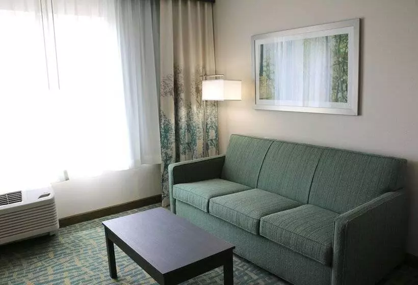 身障者適用スイートルーム, Holiday Inn Express & Suites   Hendersonville Se   Flat Rock, An Ihg