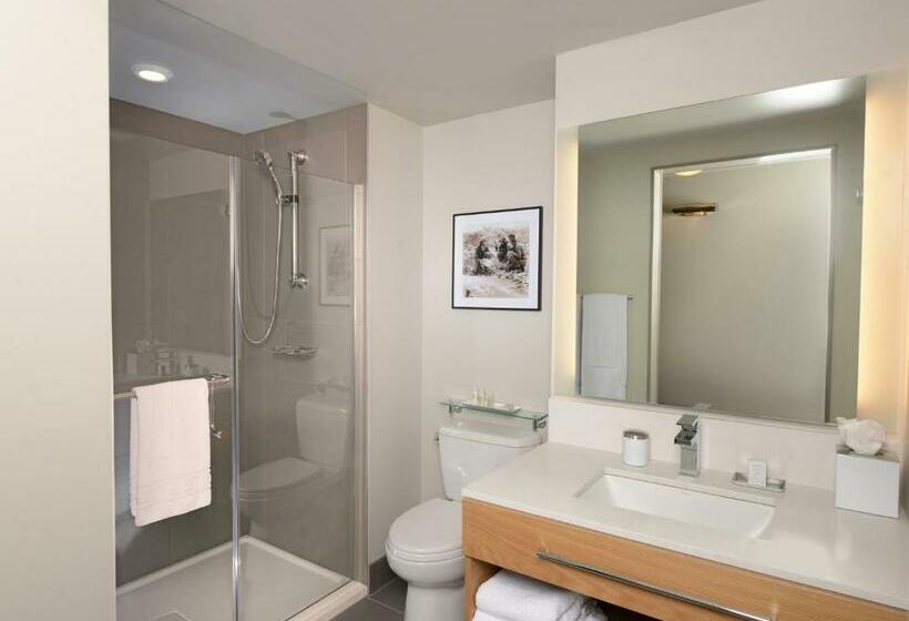 스탠다드 룸, Indigo Denver Downtown  Union Station, An Ihg