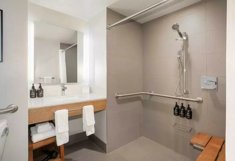 身障者適用キングサイズベッドルーム, Indigo Denver Downtown  Union Station, An Ihg