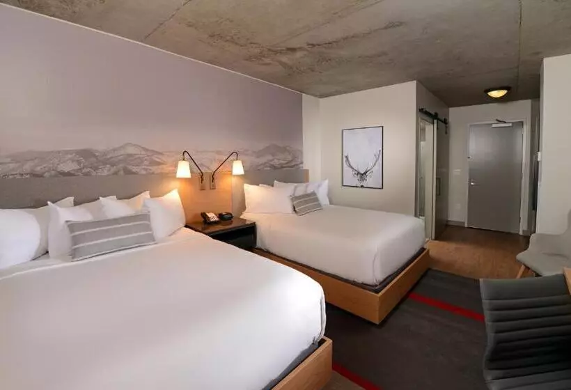 身障者適用スタンダードルーム, Indigo Denver Downtown  Union Station, An Ihg