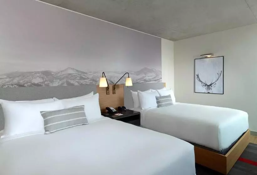 身障者適用スタンダードルーム, Indigo Denver Downtown  Union Station, An Ihg