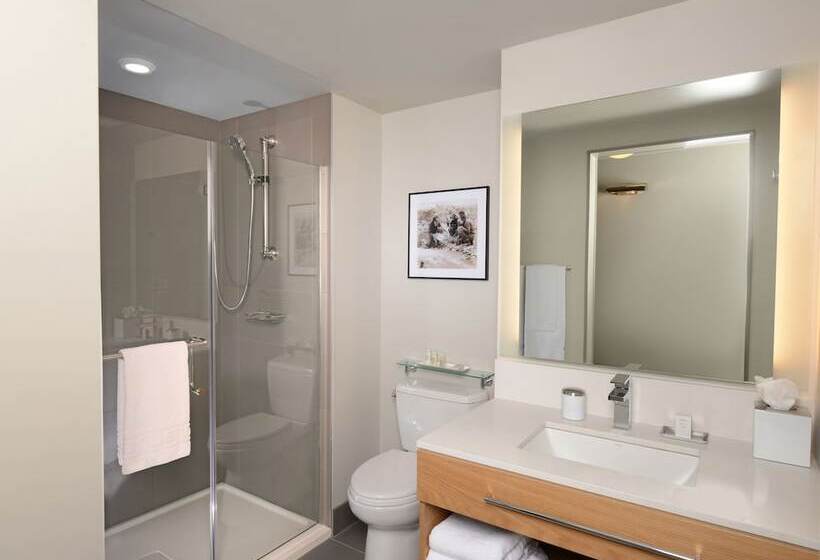 장애인을 위한 스위트, Indigo Denver Downtown  Union Station, An Ihg