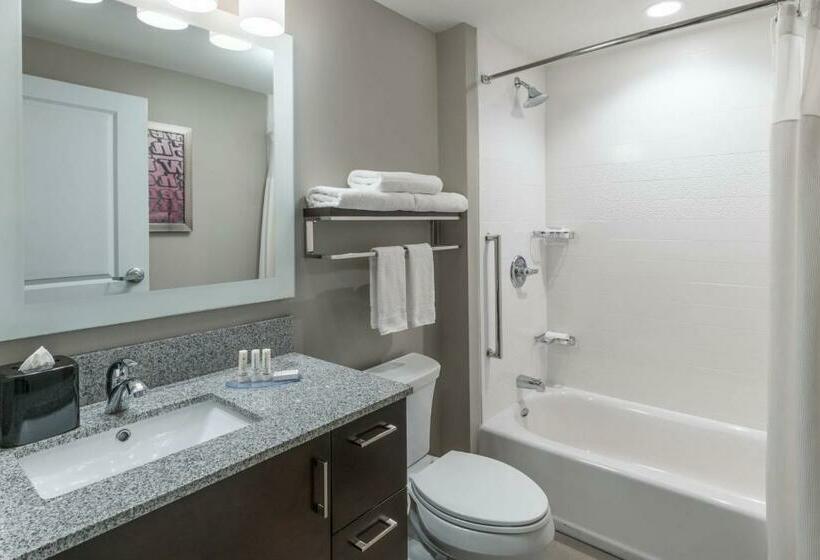 Студия Стандарт, Towneplace Suites By Marriott Chicago Schaumburg