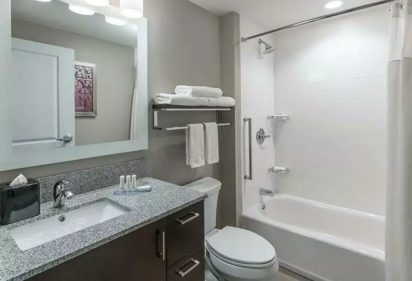 Standard-studio, Towneplace Suites By Marriott Chicago Schaumburg