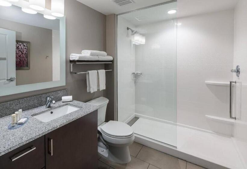 Standard Stúdiószoba Franciaággyal King Size, Towneplace Suites By Marriott Chicago Schaumburg