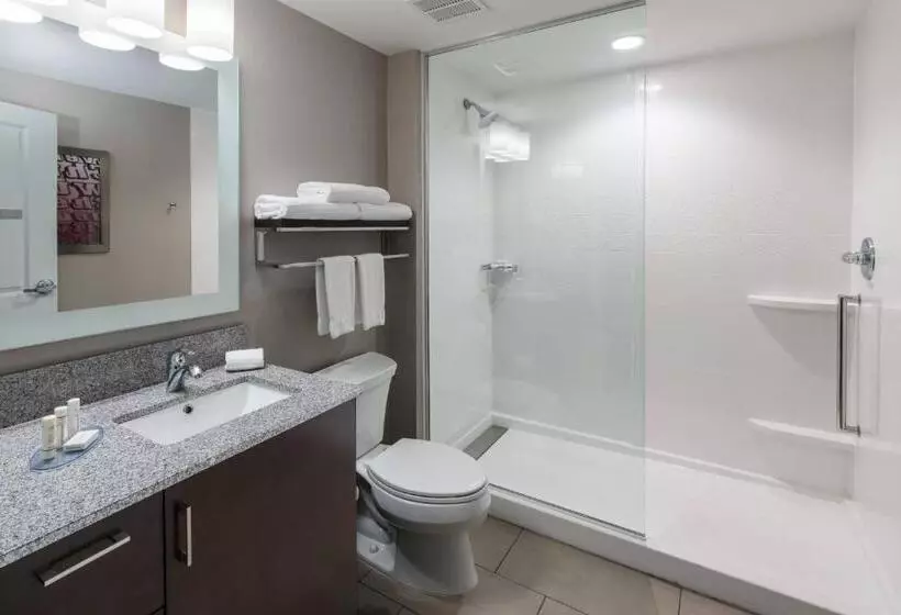 Standard-studio King-vuode, Towneplace Suites By Marriott Chicago Schaumburg