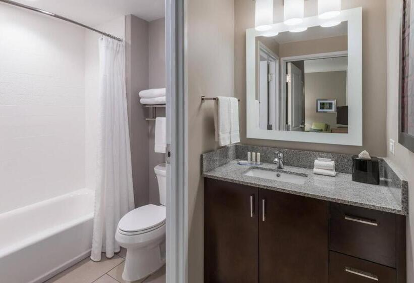 Люкс 2 Спальни, Towneplace Suites By Marriott Chicago Schaumburg