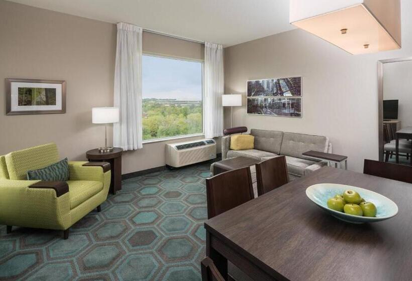 Люкс 2 Спальни, Towneplace Suites By Marriott Chicago Schaumburg