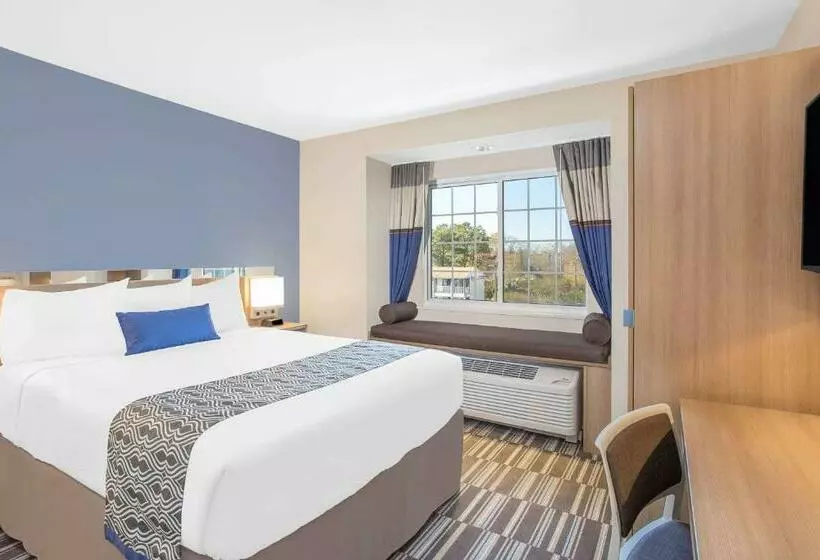 身障者適用スタンダードルーム, Microtel Inn & Suites By Wyndham Ocean City