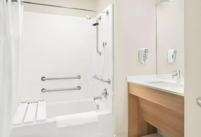 身障者適用スタンダードルーム, Microtel Inn & Suites By Wyndham Ocean City