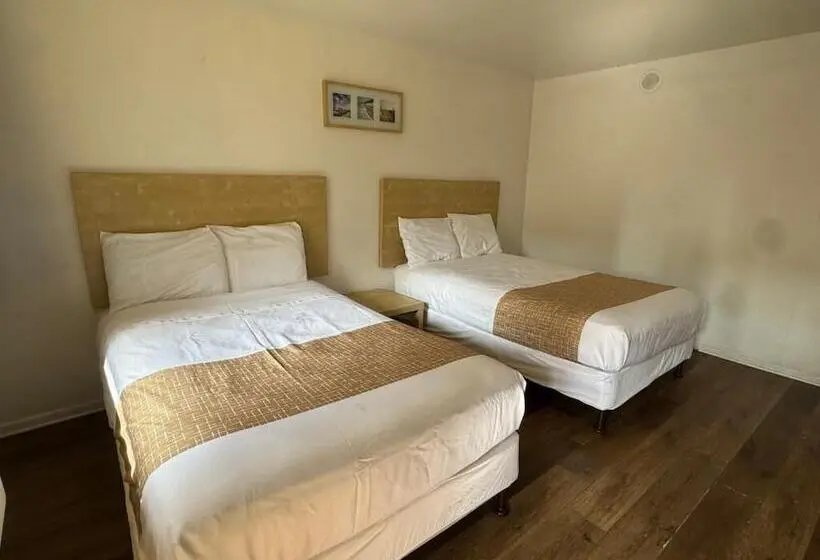 ２ダブルベッドのスタンダードルーム, City Center Hotel Los Angeles