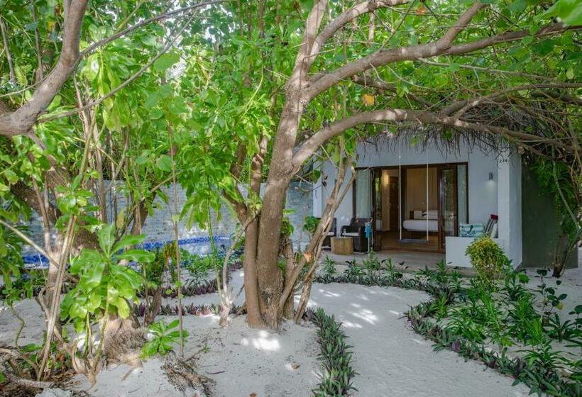 سوییت با استخر, Cocoon Maldives  All Inclusive