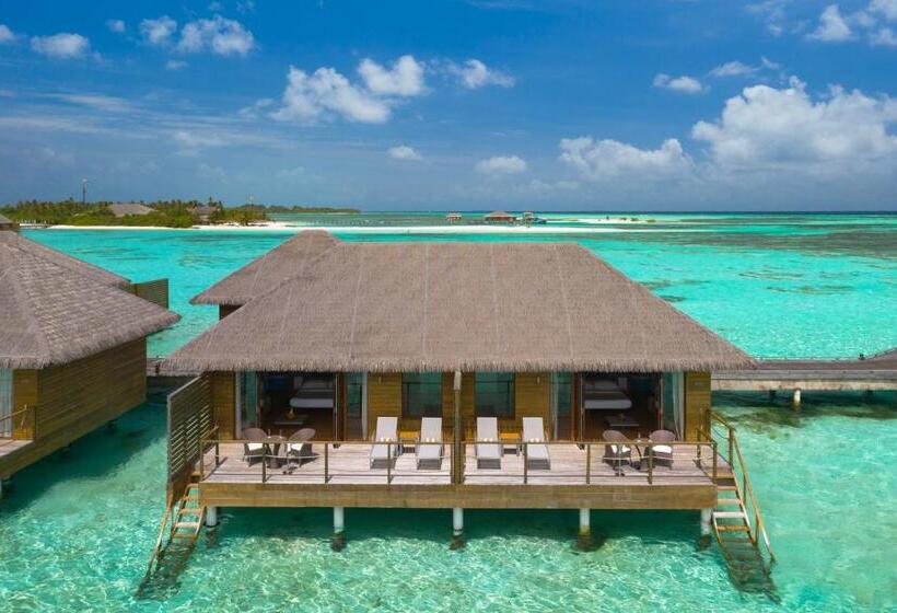 ویلای 1 خوابه, Cocoon Maldives  All Inclusive