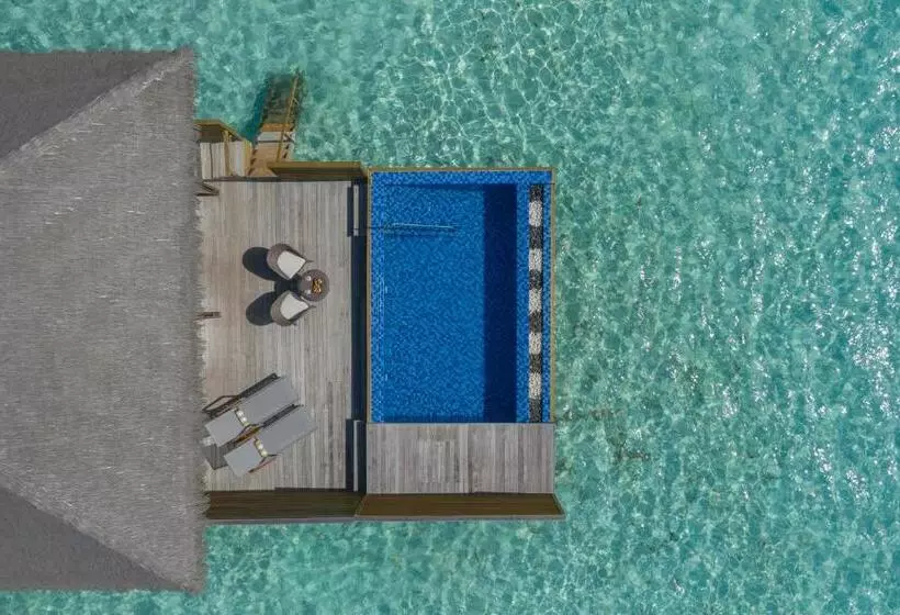 سوییت با استخر, Cocoon Maldives All Inclusive