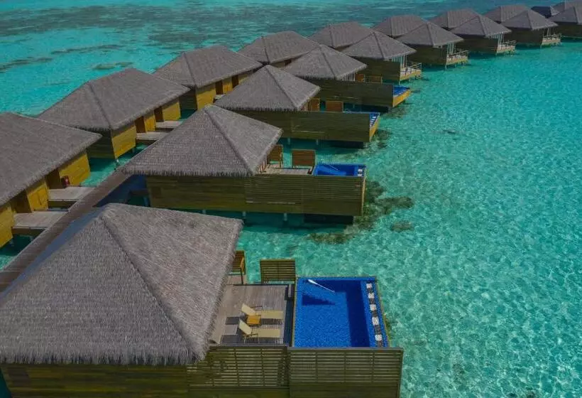 سوییت با استخر, Cocoon Maldives All Inclusive