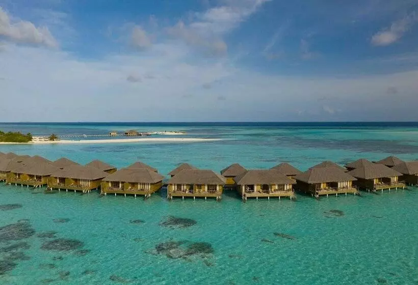 ویلای 1 خوابه, Cocoon Maldives All Inclusive