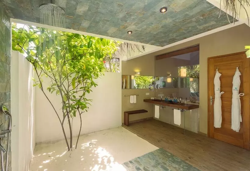 سوییت, Cocoon Maldives All Inclusive