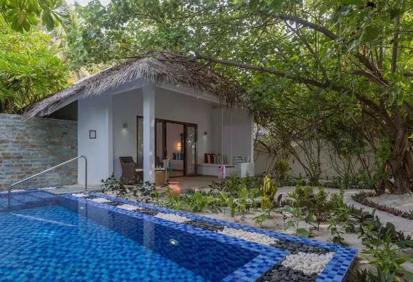 سوییت, Cocoon Maldives All Inclusive