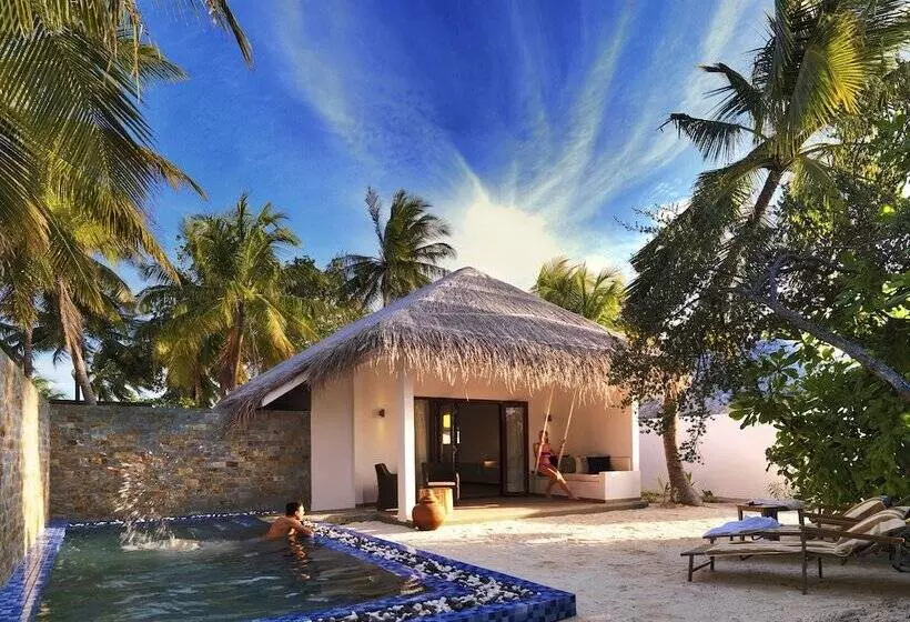 سوییت, Cocoon Maldives All Inclusive