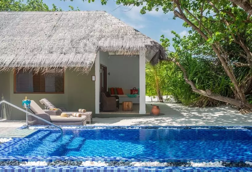 سوییت, Cocoon Maldives All Inclusive