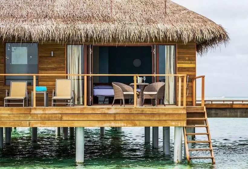 ویلای 1 خوابه, Cocoon Maldives All Inclusive