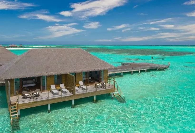 ویلای 1 خوابه, Cocoon Maldives All Inclusive