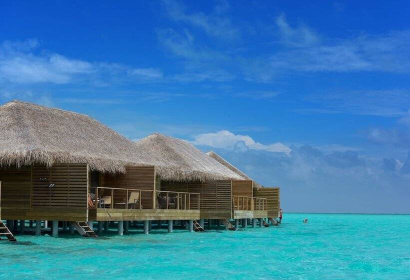 ویلای 1 خوابه, Cocoon Maldives  All Inclusive