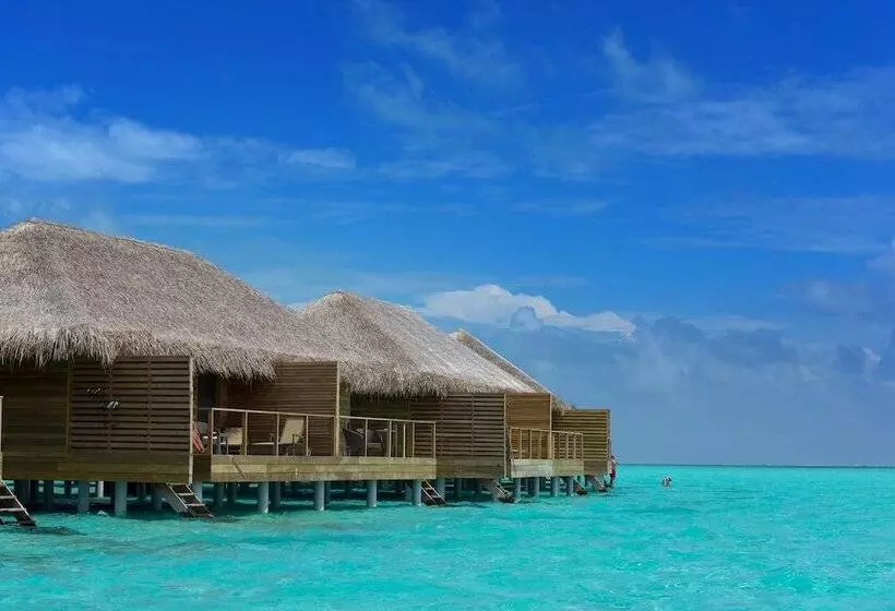 ویلای 1 خوابه, Cocoon Maldives All Inclusive