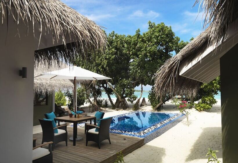 سوییت, Cocoon Maldives  All Inclusive