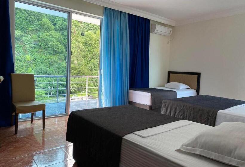 اتاق خانوادگی, Neptun Kvariati