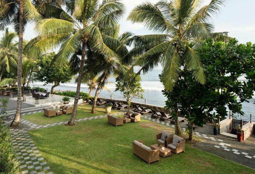 جناح, Owl And The Pussycat Hotel & Restaurant