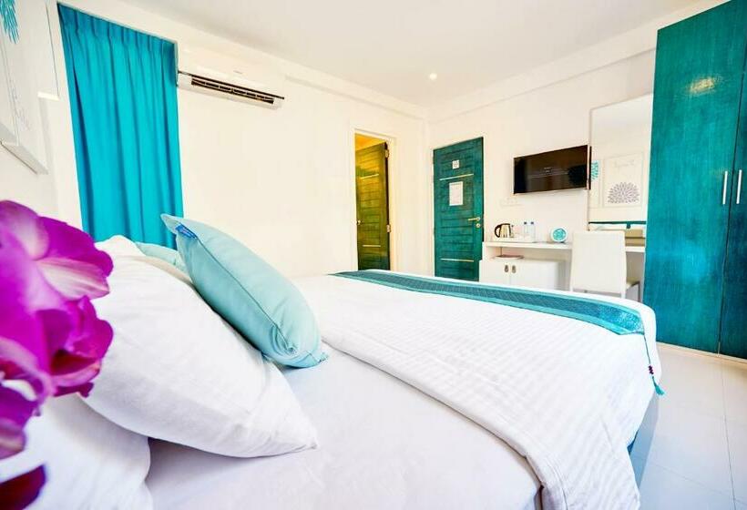 اتاق لوکس با چشم‌انداز دریا, Planktons Beach