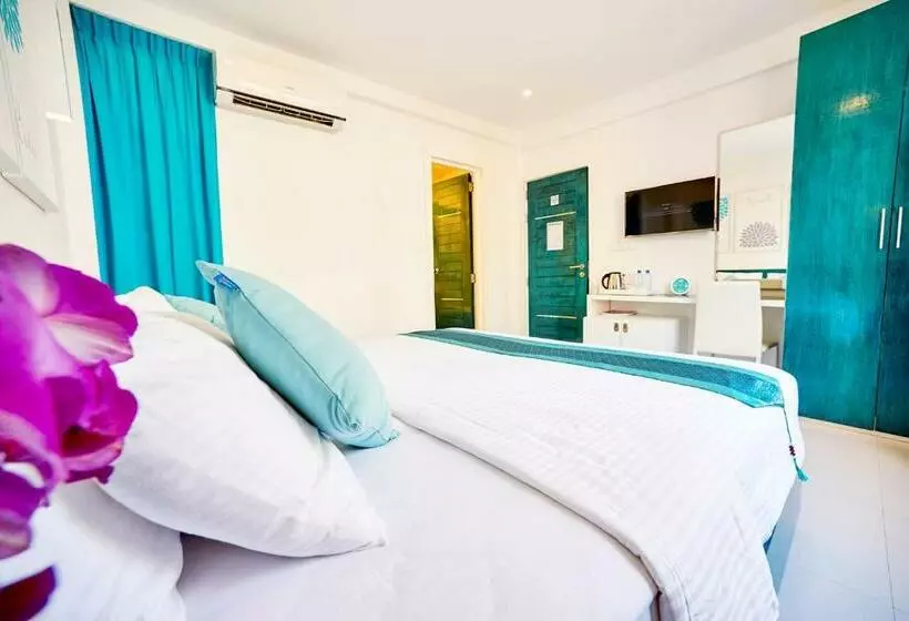 اتاق لوکس با چشمانداز دریا, Planktons Beach