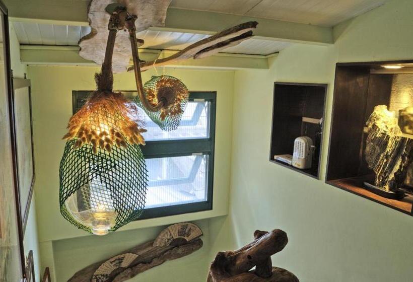 اتاق استاندارد سه نفره, A Home