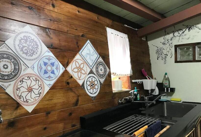 خانه 1 خوابه, A Home