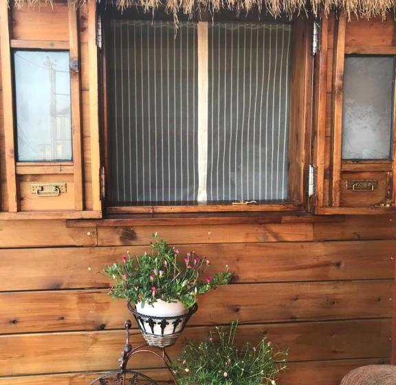 خانه 1 خوابه, A Home