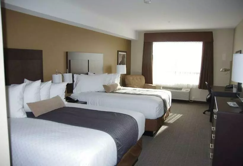 اتاق استاندارد, Best Western Plus Lacombe Inn & Suites