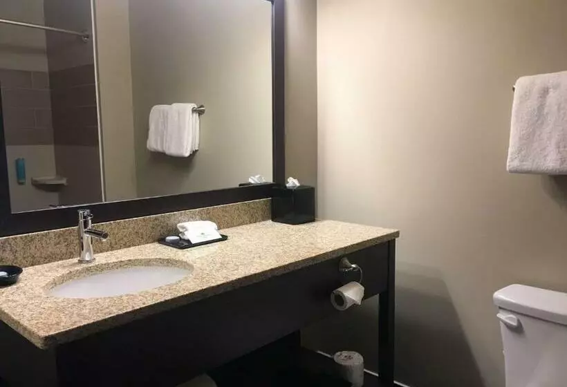 اتاق استاندارد, Best Western Plus Lacombe Inn & Suites