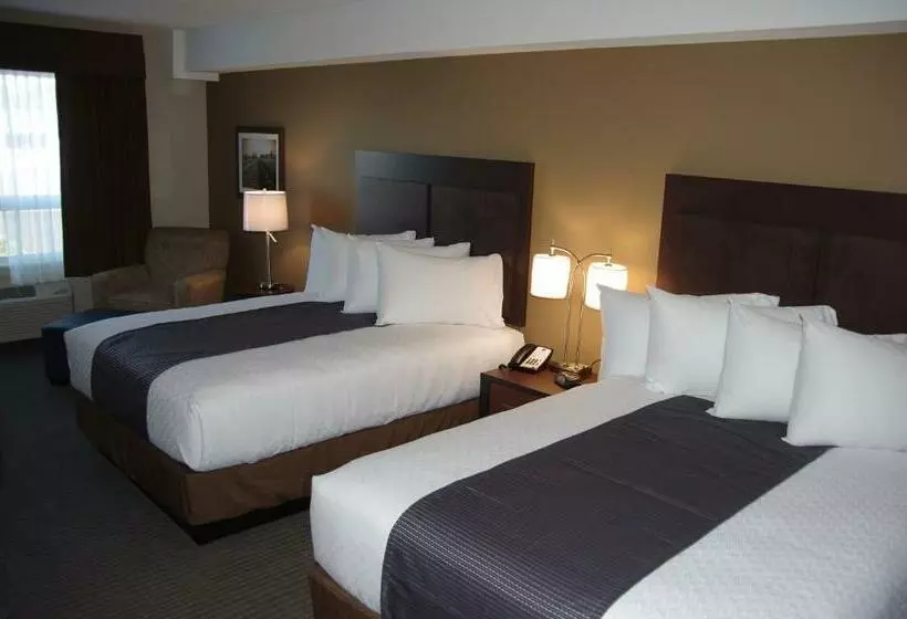 اتاق استاندارد, Best Western Plus Lacombe Inn & Suites