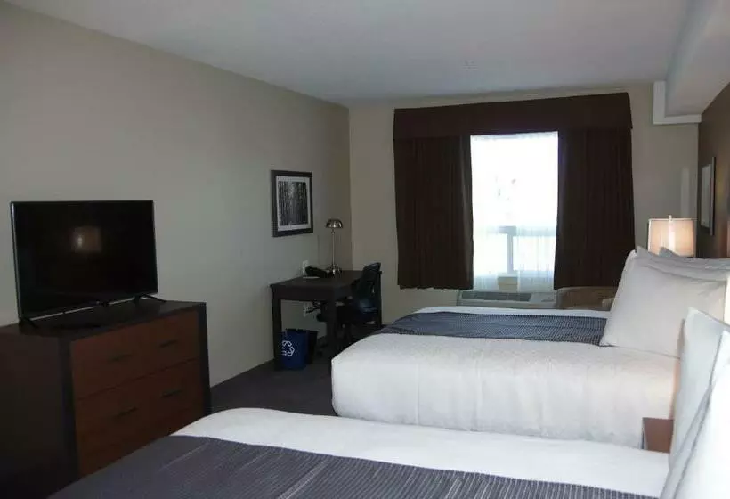 اتاق استاندارد, Best Western Plus Lacombe Inn & Suites