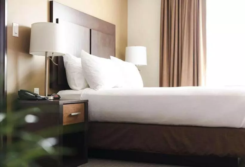 اتاق استاندارد با تخت بزرگ, Best Western Plus Lacombe Inn & Suites