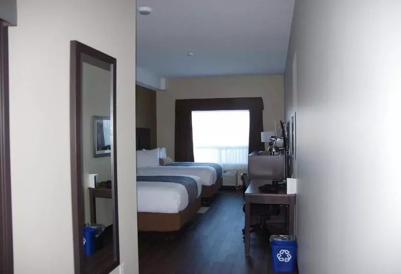 اتاق استاندارد با تخت دو نفره بزرگ برای معلولان, Best Western Plus Lacombe Inn & Suites