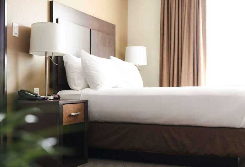 سوییت, Best Western Plus Lacombe Inn & Suites