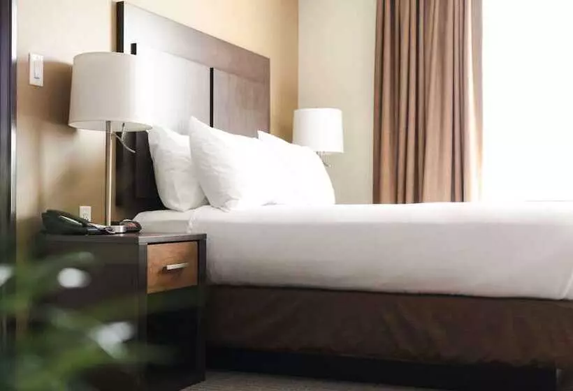 سوییت, Best Western Plus Lacombe Inn & Suites