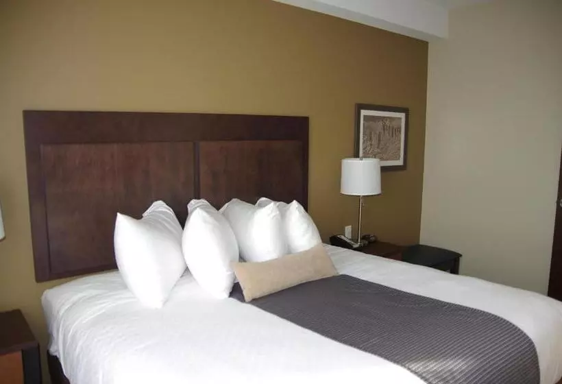 سوئیت با تخت بزرگ, Best Western Plus Lacombe Inn & Suites