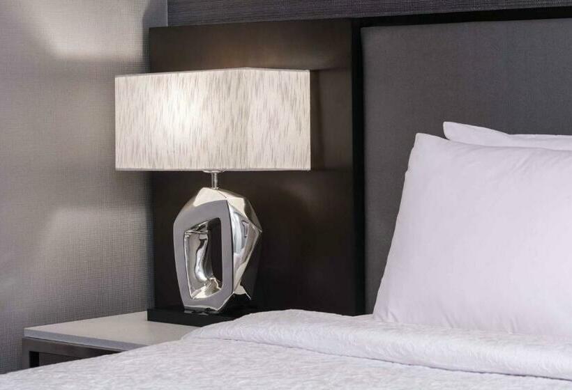 Люкс Адаптированный для Инвалидов, Homewood Suites By Hilton Boston Logan Airport Chelsea