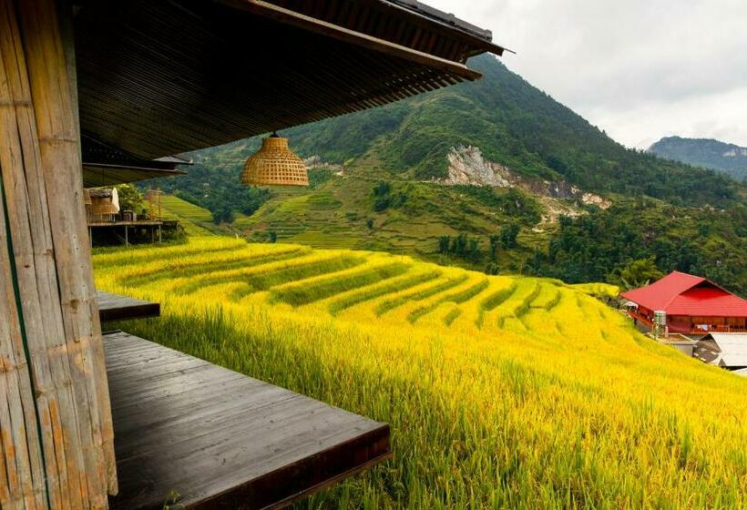 بانگلوی استاندارد, Black Ship Sapa